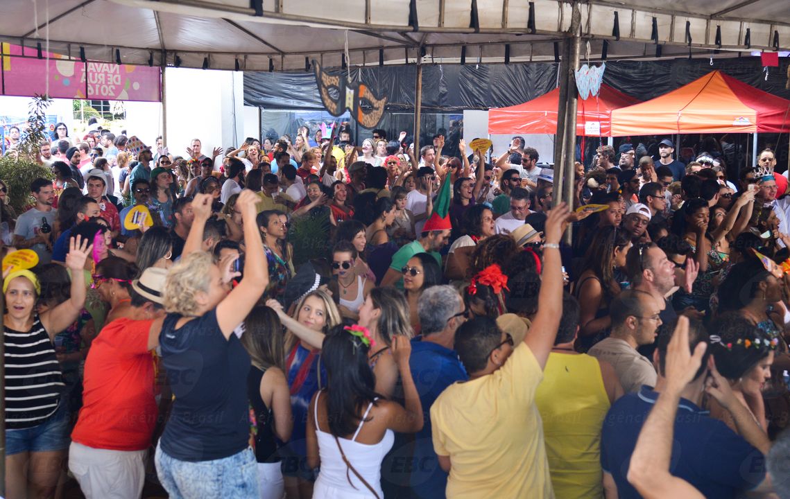 Brasilienses curtem blocos de Carnaval. Na foto, o Bloco Falta Pouco (Antonio Cruz/Agência Brasil)