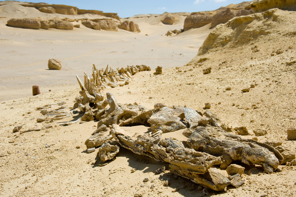 8038972927_ca5579e20a_b