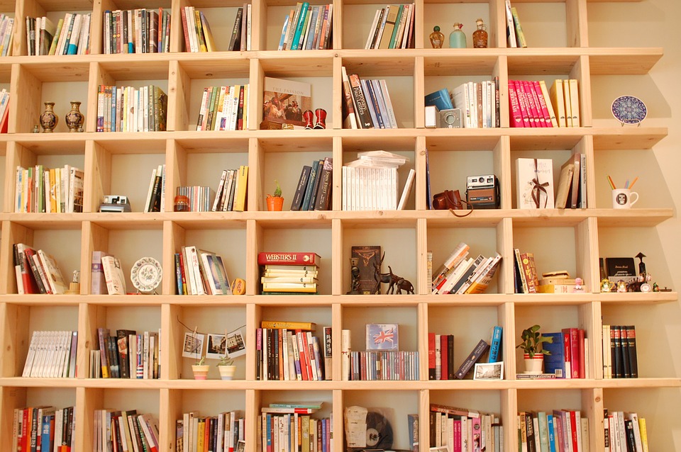 5 dicas para manter os livros na estante sempre limpos e organizados -  UAUIngleza