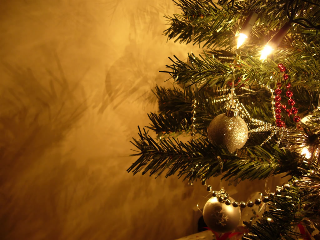 Feng Shui: atraia boas energias com a árvore de Natal